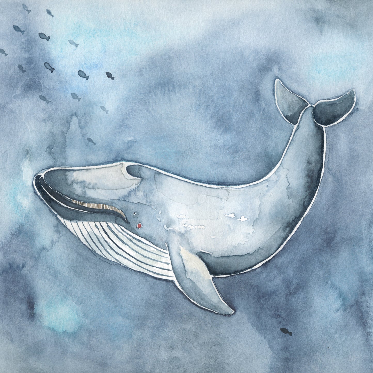 ANTARCTIC ANIMALS - Leopard Seals, Penguins & Co.