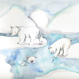 ANIMALS OF THE ARCTIC - polar bear, sperm whale & Co.