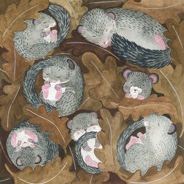 Animals of the forest - badger, fox & Co.