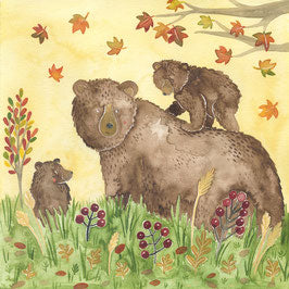 Animals of the forest - bison, bear & Co.