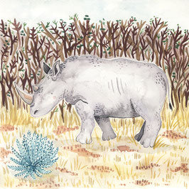 ANIMALS OF THE SAVANNAH - Elephant, Rhino &amp; Co.